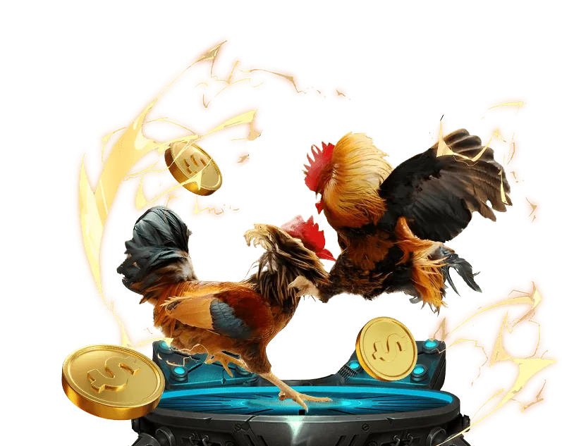 Đá Gà fun88 cazino